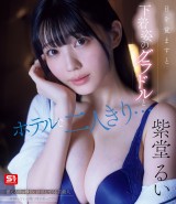 Waking up in the Morning, I Slept with a Gravure Idol