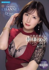 DIGITAL CHANNEL DC143 