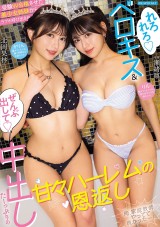 Sweet Harem Repayment