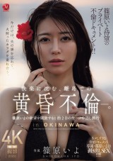 TWILIGHT AFFAIR