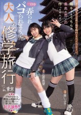 Adult School Trip Memory in Tokyo