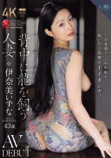 AV DEBUT