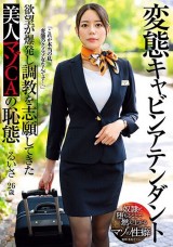 Hentai Cabin Attendant