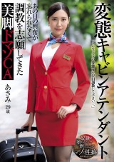Hentai Cabin Attendant