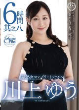Yu Kawakami Complete File 6 Hours vol. 8