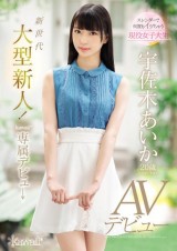 AV DEBUT