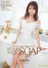 THE GREAT SOAPLAND