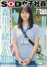 SOD Assistant Director AV Debut