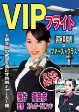 VIP Flight