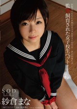 Confined Schoolgirl Pet