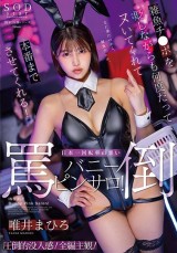 Cosplay Bunny Abusing Sexual Salon