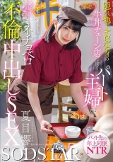 Part Time Creampie Affair