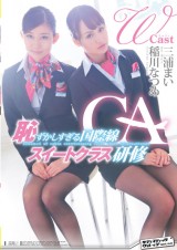 Double Cast Cabin Attendant