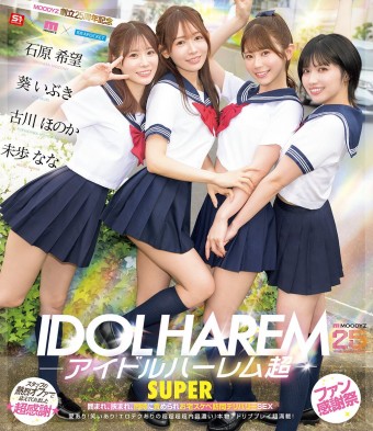 IDOL HAREM