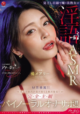 Binaural Recording Onanie Support 