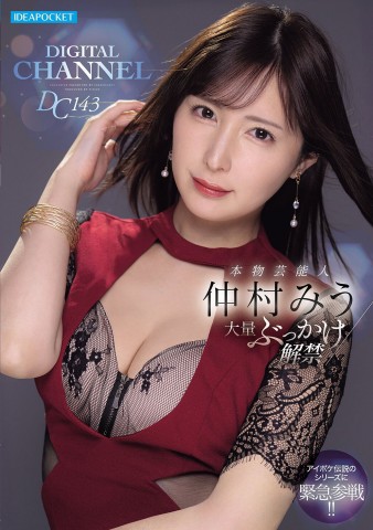 DIGITAL CHANNEL DC143 