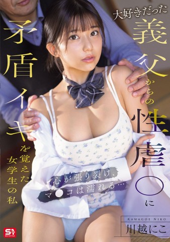 Sexual Harassment by Father-in-law