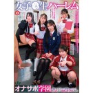Harem Academy