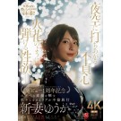 Real Love Affair Trip