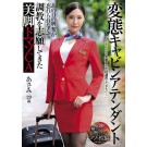 Hentai Cabin Attendant
