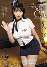 Sexual Service Cabin Attendant for Celebrity