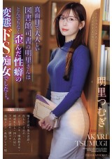 The Serious Librarian is a Hentai Slut