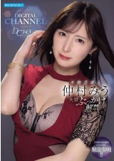 DIGITAL CHANNEL DC143 