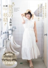 TOILET FAIRY