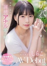 AV Debut