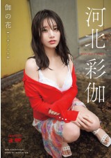 Gorgeous Attending