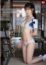 Affairs in the HENTAI Village