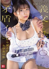 Sexual Harassment by Father-in-law