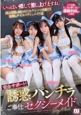 Perfect Support Sexy Maids
