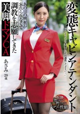 Hentai Cabin Attendant