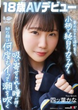 AV DEBUT