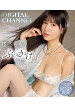 DIGITAL CHANNEL DC142