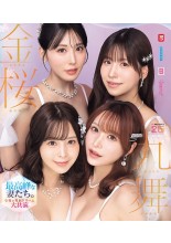 DREAM CASTS