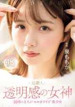 AV Debut