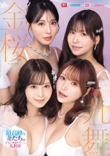 DREAM CASTS