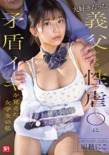 Sexual Harassment by Father-in-law